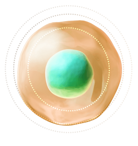 biohax-submethylation 1