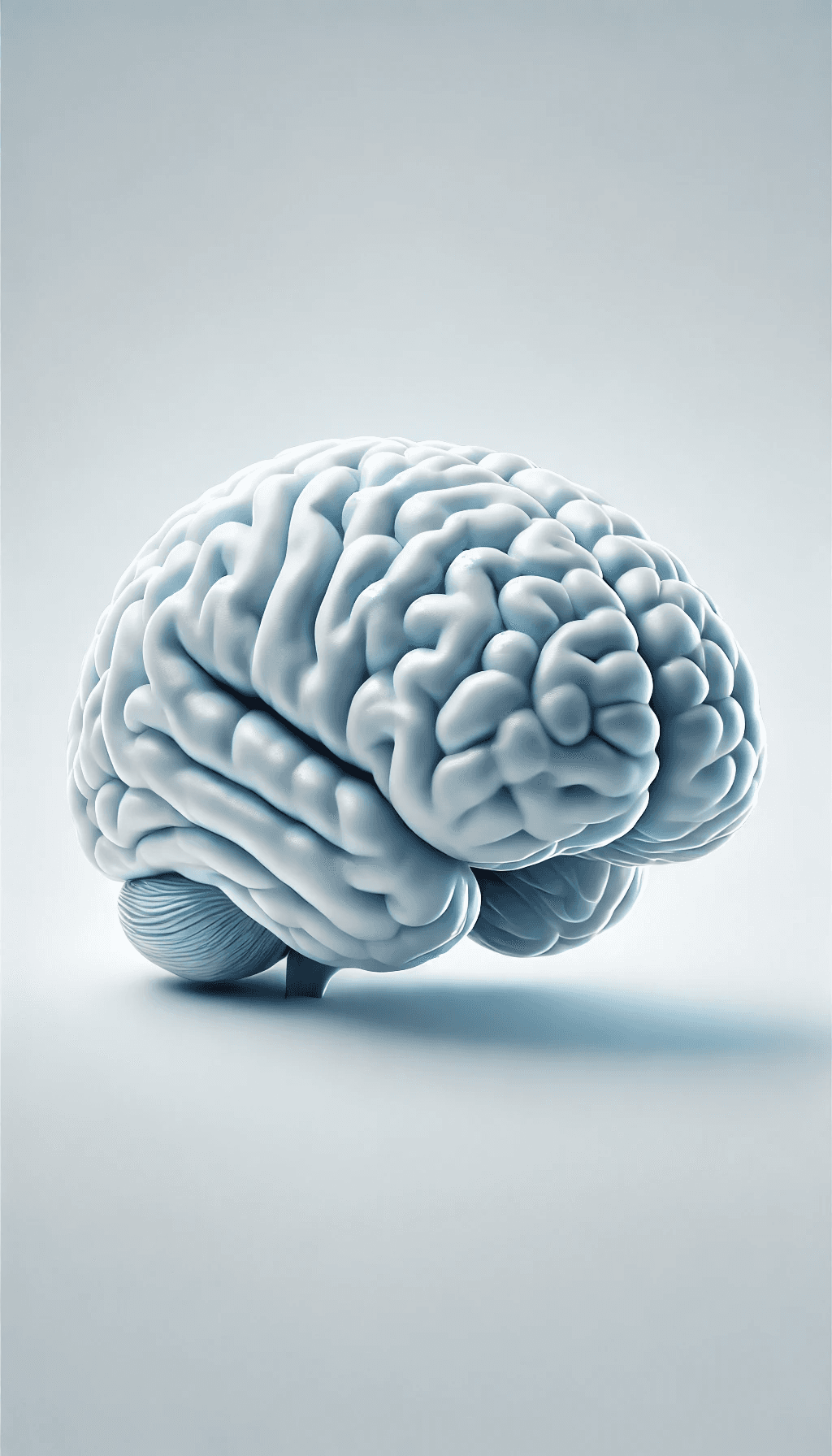 983da8644617ed9ef9f473ac93c479ae